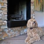 Labradoodle Liz voor de open haard met Natuurstenen.